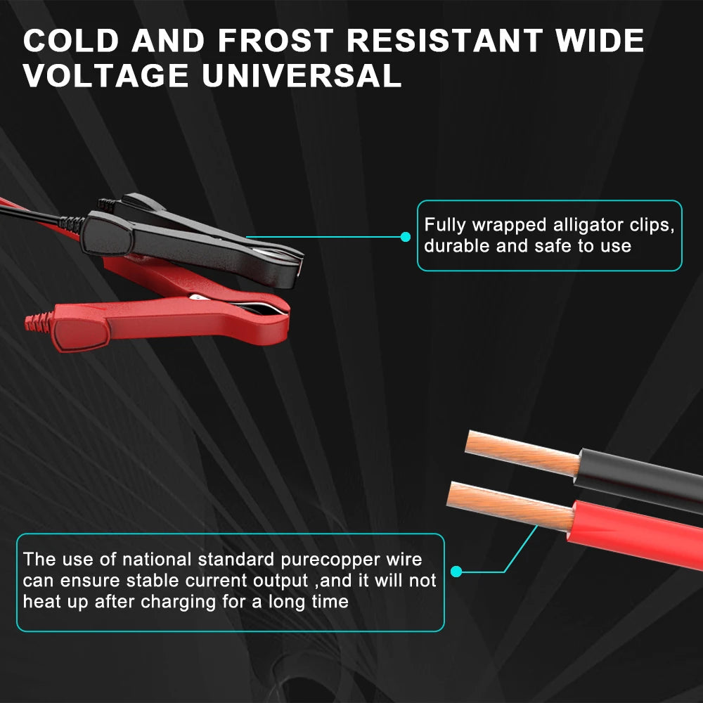 Smart LCD Car Battery Charger