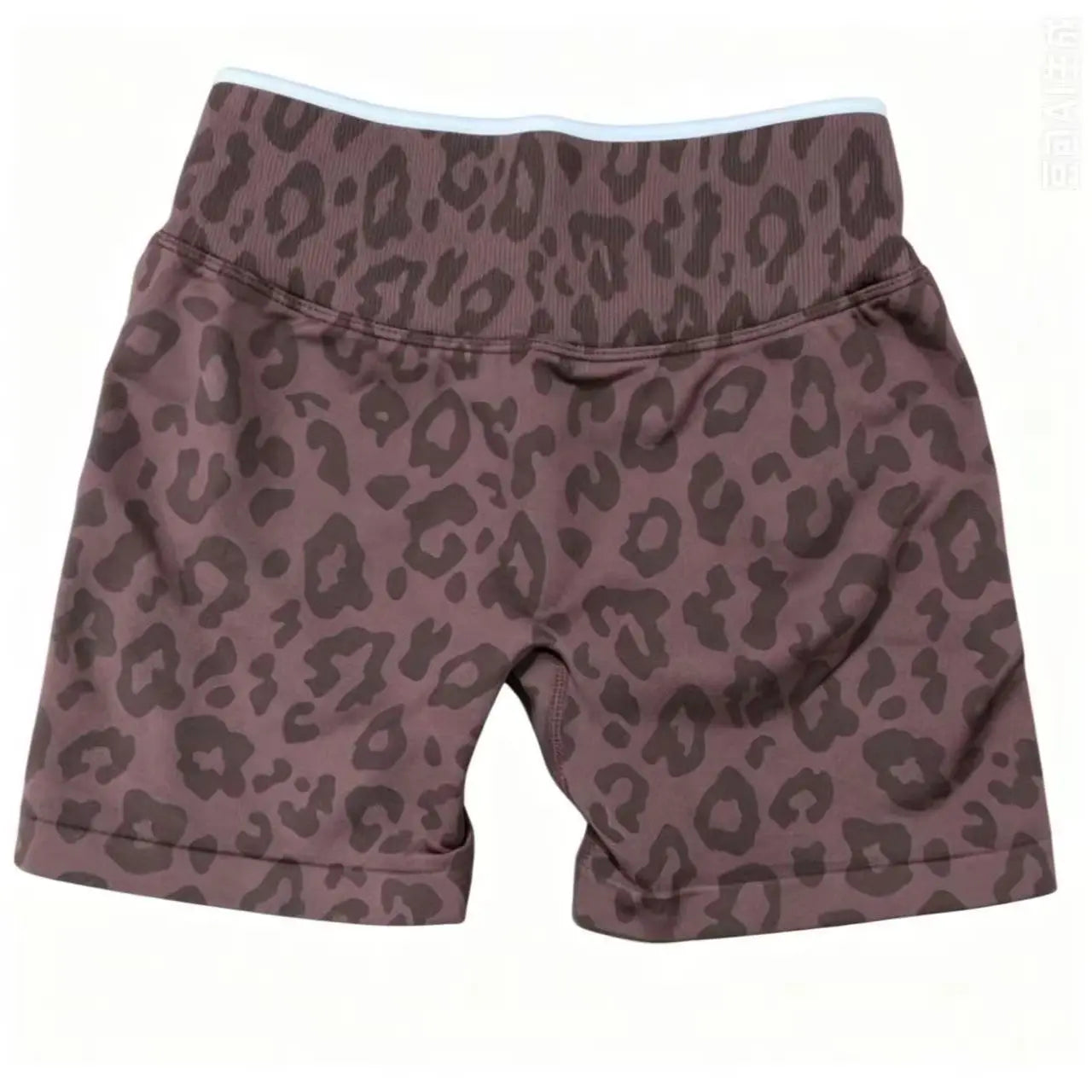 Leopard Print Seamless Shorts