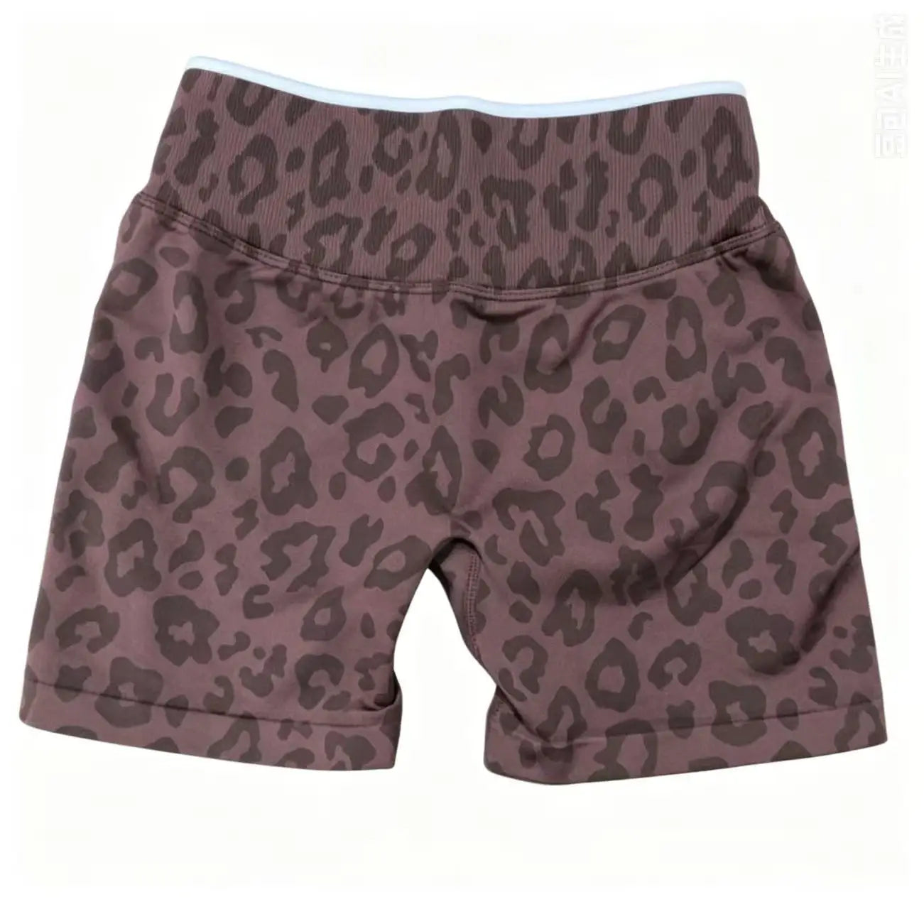 Leopard Print Seamless Shorts